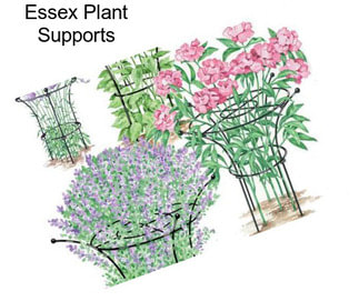 Essex Plant Supports