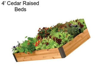 4\' Cedar Raised Beds