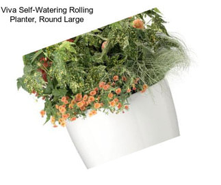 Viva Self-Watering Rolling Planter, Round Large