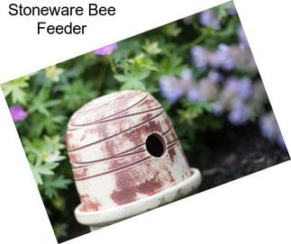 Stoneware Bee Feeder