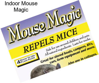 Indoor Mouse Magic