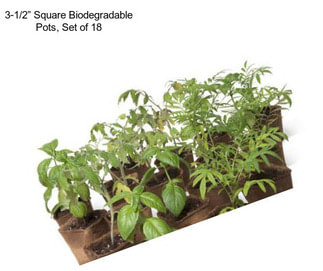 3-1/2” Square Biodegradable Pots, Set of 18