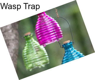 Wasp Trap