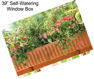 39” Self-Watering Window Box