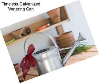 Timeless Galvanized Watering Can