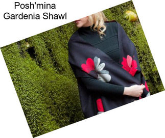 Posh\'mina Gardenia Shawl