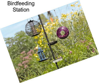 Birdfeeding Station