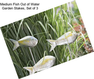 Medium Fish Out of Water Garden Stakes, Set of 3