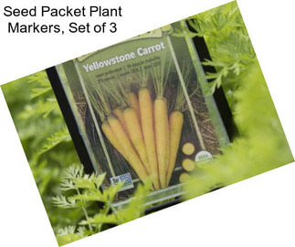 Seed Packet Plant Markers, Set of 3