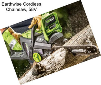 Earthwise Cordless Chainsaw, 58V