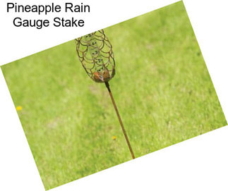 Pineapple Rain Gauge Stake