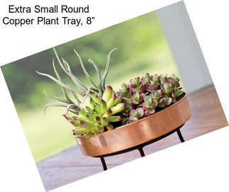 Extra Small Round Copper Plant Tray, 8”