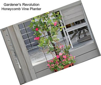 Gardener\'s Revolution Honeycomb Vine Planter