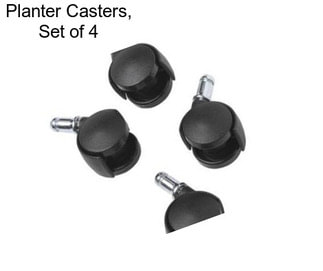 Planter Casters, Set of 4