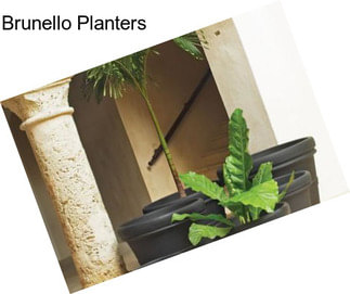 Brunello Planters