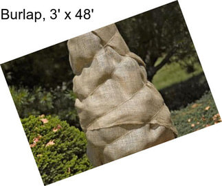 Burlap, 3\' x 48\'