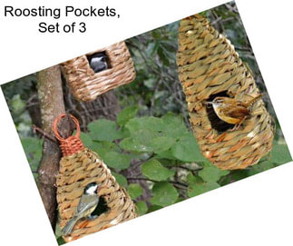 Roosting Pockets, Set of 3