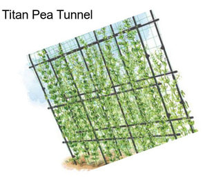 Titan Pea Tunnel