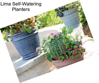 Lima Self-Watering Planters