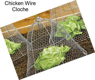 Chicken Wire Cloche