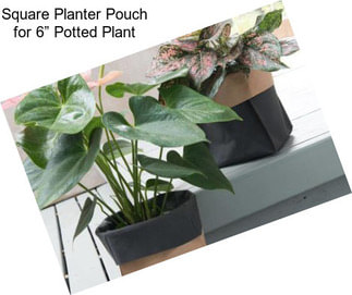 Square Planter Pouch for 6” Potted Plant