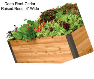 Deep Root Cedar Raised Beds, 4\' Wide