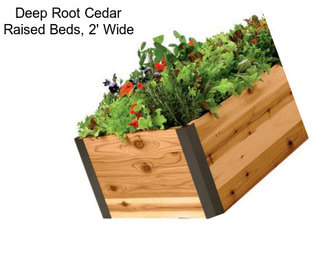 Deep Root Cedar Raised Beds, 2\' Wide