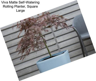 Viva Matte Self-Watering Rolling Planter, Square Large