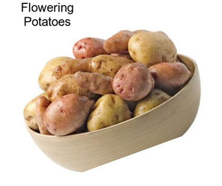 Flowering Potatoes