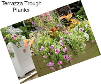 Terrazza Trough Planter