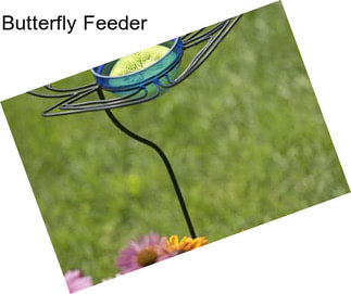 Butterfly Feeder