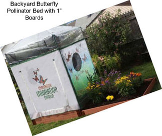 Backyard Butterfly Pollinator Bed with 1” Boards