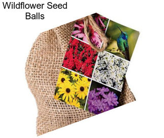 Wildflower Seed Balls