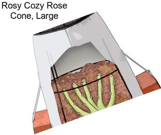 Rosy Cozy Rose Cone, Large