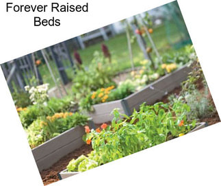 Forever Raised Beds