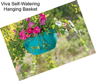 Viva Self-Watering Hanging Basket