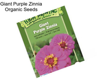 Giant Purple Zinnia Organic Seeds