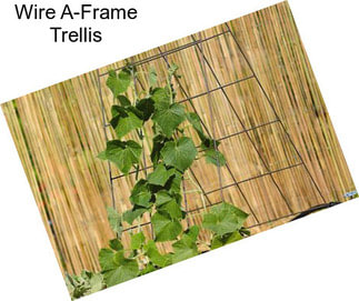 Wire A-Frame Trellis