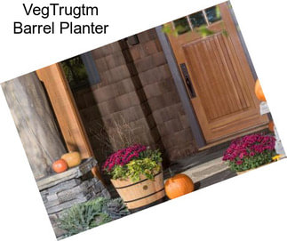 VegTrugtm Barrel Planter