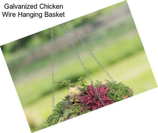 Galvanized Chicken Wire Hanging Basket