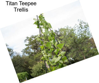 Titan Teepee Trellis