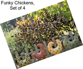 Funky Chickens, Set of 4