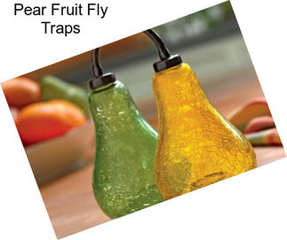 Pear Fruit Fly Traps