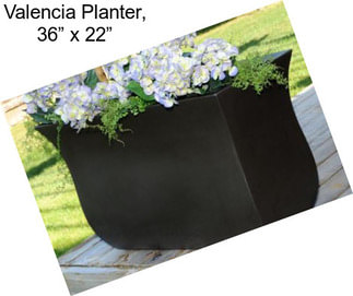 Valencia Planter, 36” x 22”