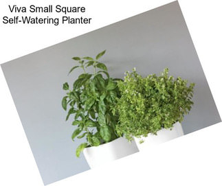 Viva Small Square Self-Watering Planter