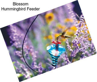Blossom Hummingbird Feeder