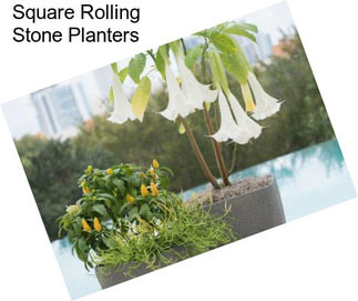 Square Rolling Stone Planters