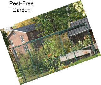 Pest-Free Garden