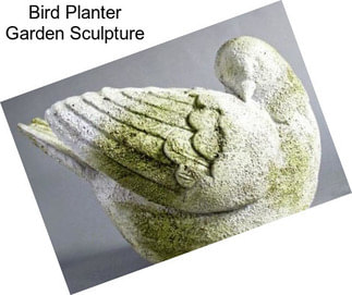 Bird Planter Garden Sculpture