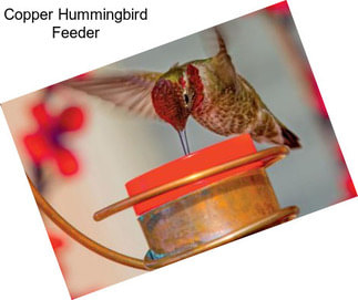 Copper Hummingbird Feeder